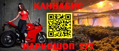 индика Краснознаменск