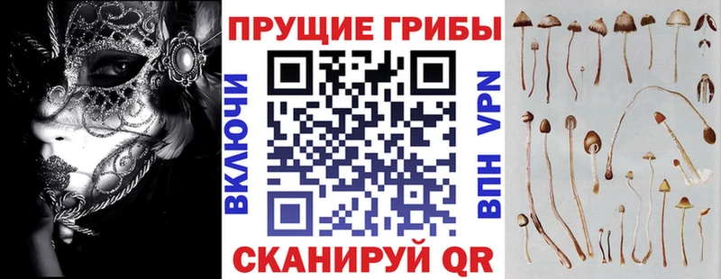 Галлюциногенные грибы MAGIC MUSHROOMS  Краснодар 