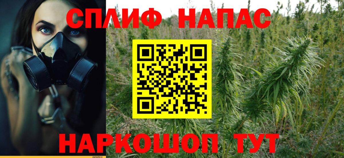 Бошки Шишки семена Краснодар